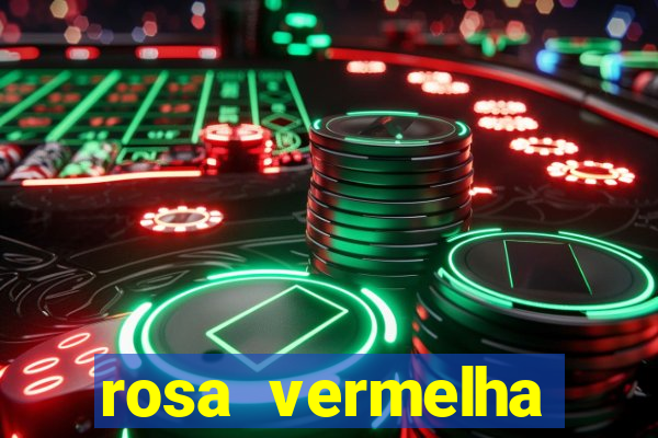 rosa vermelha (letra e cifra)